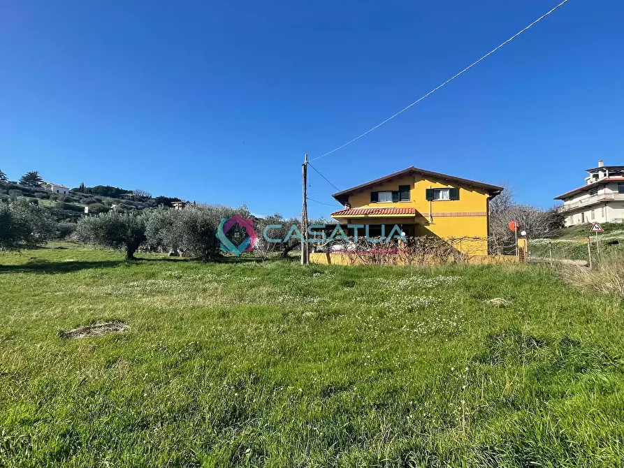 Immagine 20 di Terreno agricolo in vendita  a Silvi