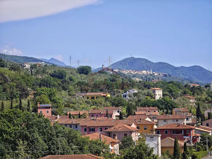 Immagine 10 di Villa in vendita  in Via Canalburo 66 A a Sarzana