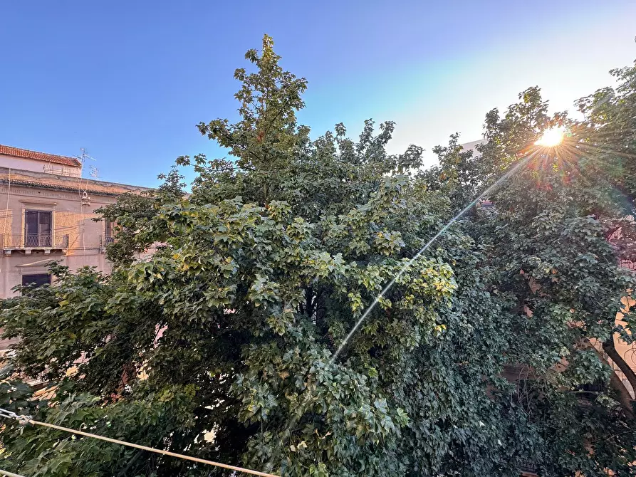 Immagine 2 di Appartamento in vendita  in Via Filiciuzza a Palermo