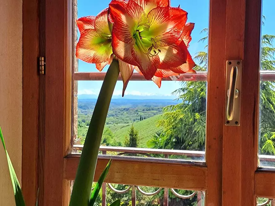 Immagine 42 di Casa indipendente in vendita  in Via Piave 11 a Cocconato