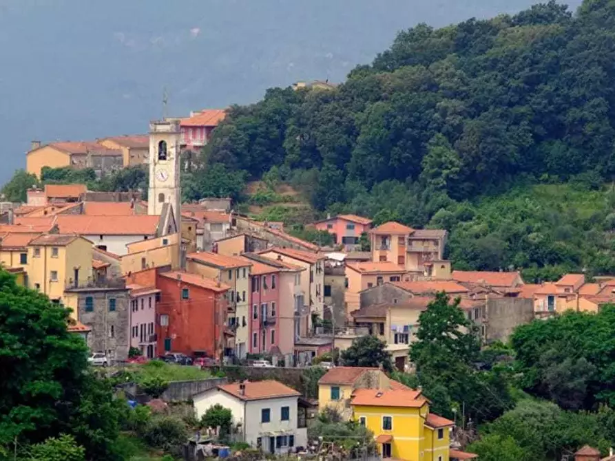 Immagine 1 di Trilocale in affitto  a La Spezia
