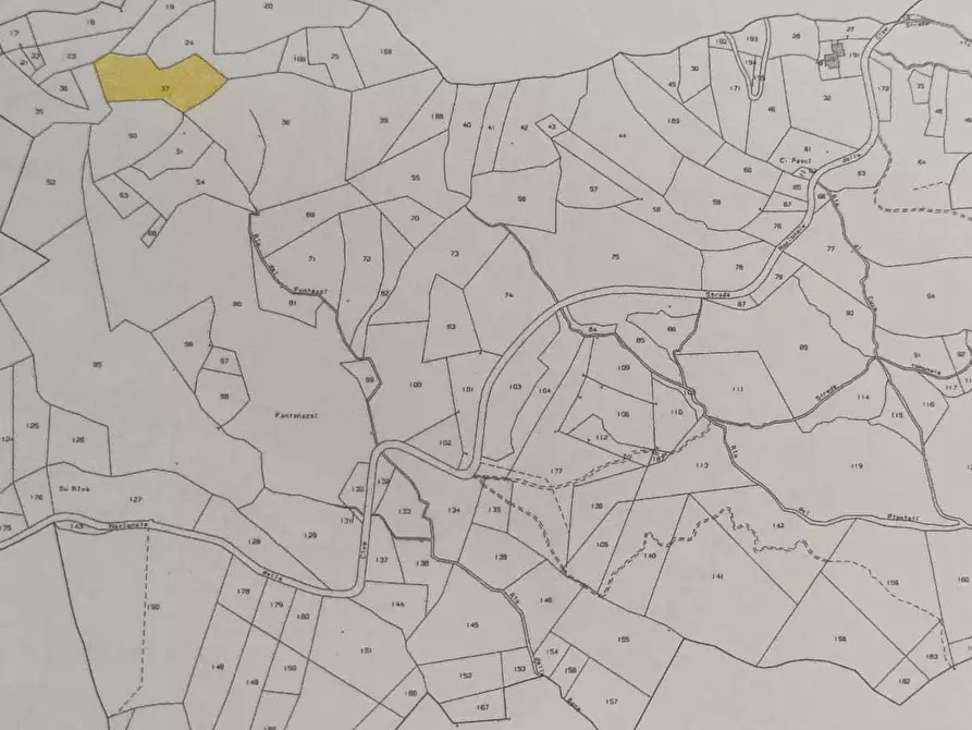 Immagine 36 di Terratetto in vendita  a Terenzo