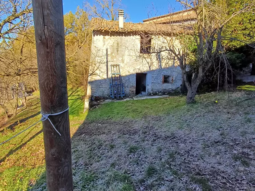 Immagine 24 di Rustico / casale in vendita  a Terenzo