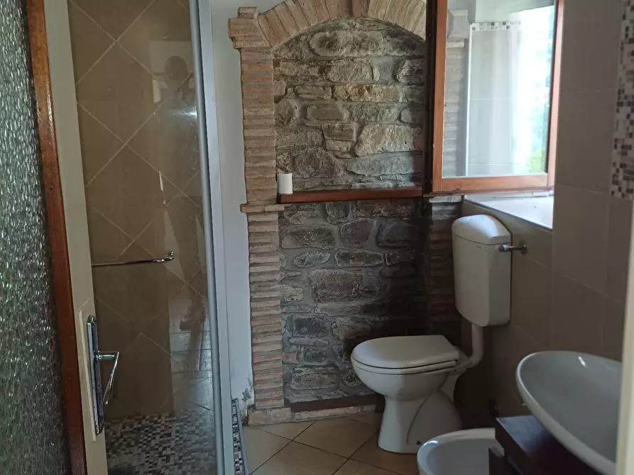 Immagine 28 di Porzione di casa in vendita  a Solignano