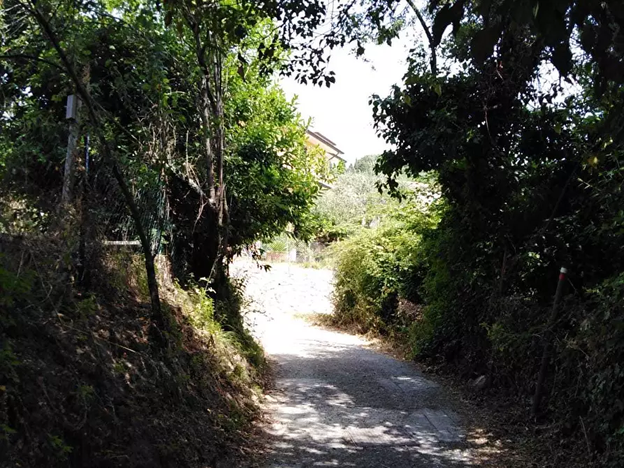 Immagine 13 di Trilocale in affitto  a La Spezia