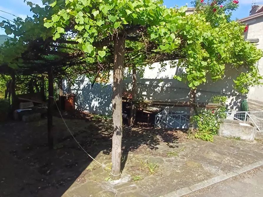 Immagine 3 di Casa indipendente in vendita  a Solignano