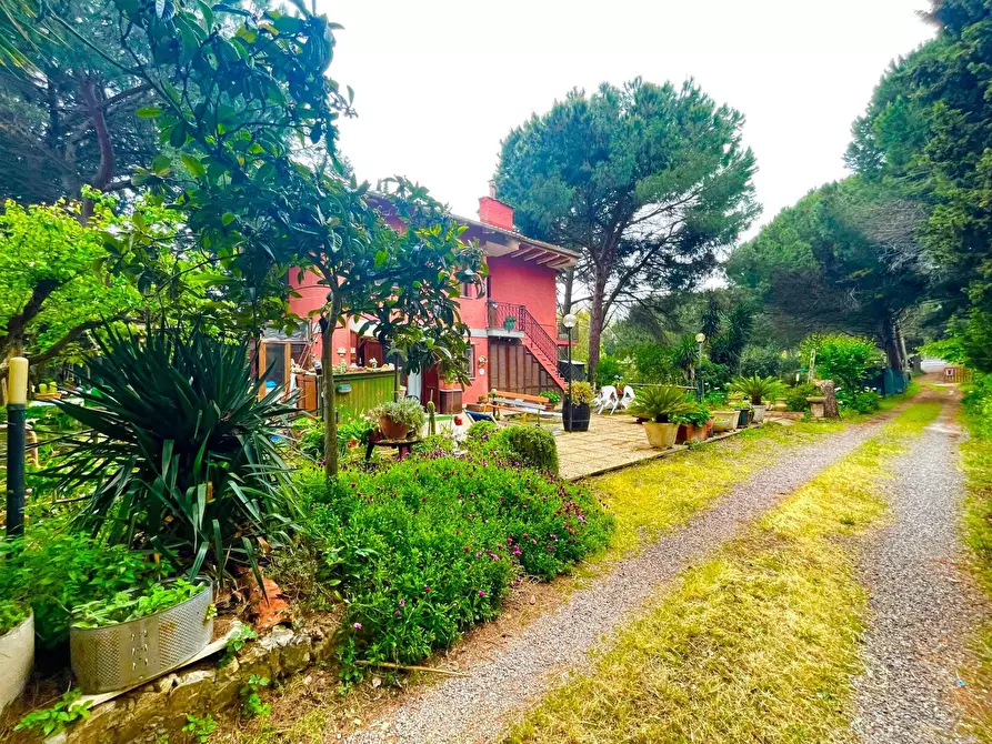 Immagine 1 di Casa indipendente in vendita  in strada statale patanella 210 a Orbetello