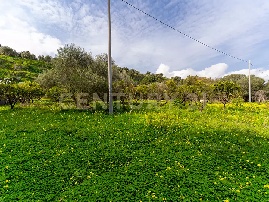 Immagine 7 di Terreno agricolo in vendita  in Contrada Vaccarizzo a Catania