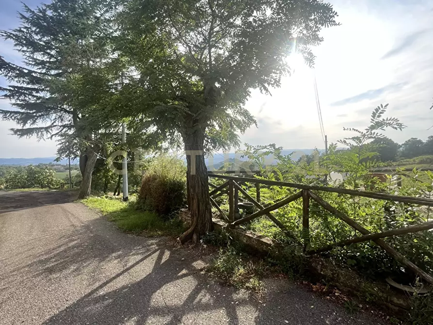 Immagine 19 di Terratetto in vendita  in Via G. Matteotti a Semproniano