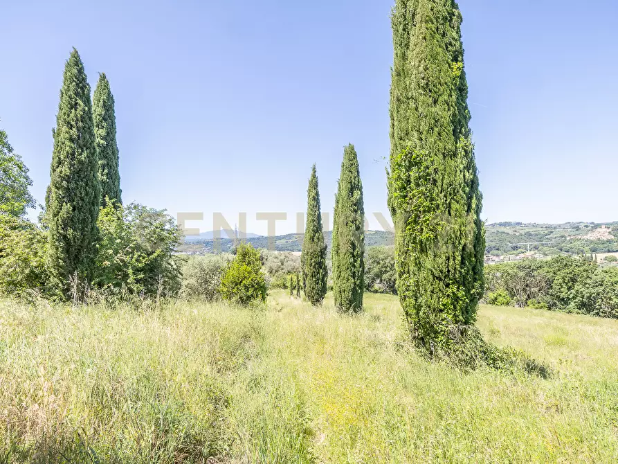 Immagine 28 di Rustico / casale in vendita  in Via Tiberina 384 a Narni