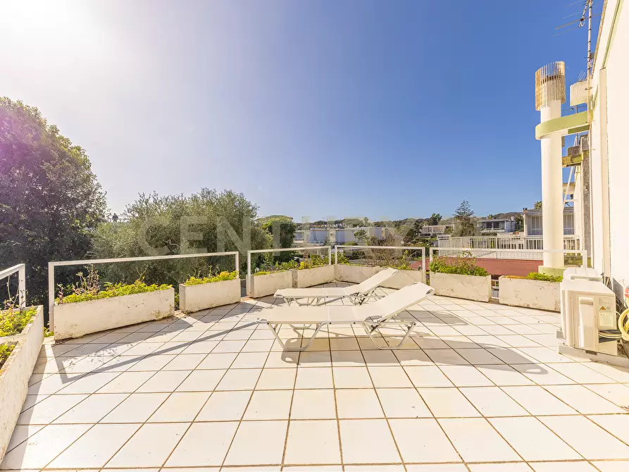 Immagine 21 di Casa bifamiliare in vendita  in Via Zaccaria Negroni 3 a Nettuno