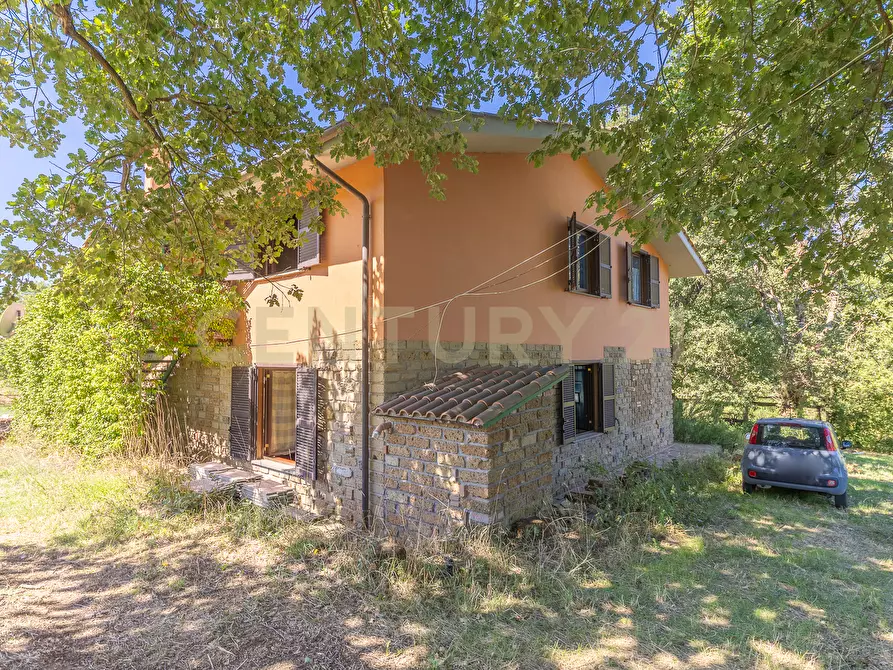 Immagine 8 di Rustico / casale in vendita  in località san quirichello a Barbarano Romano