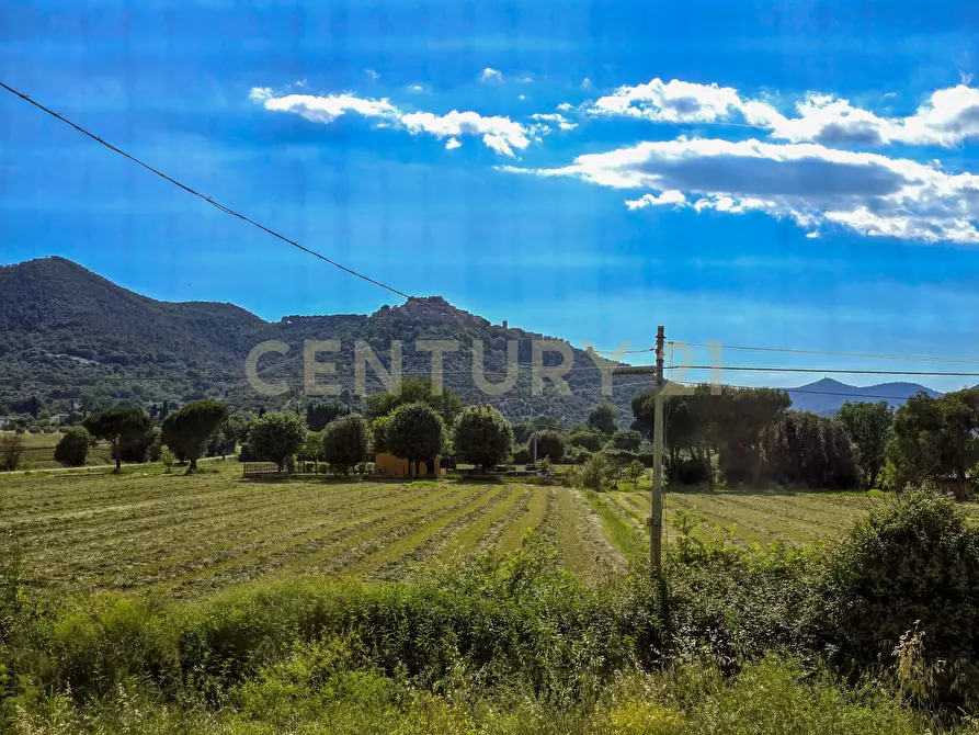 Immagine 34 di Casa indipendente in vendita  in Località Vaticino 11 a Castiglione Della Pescaia