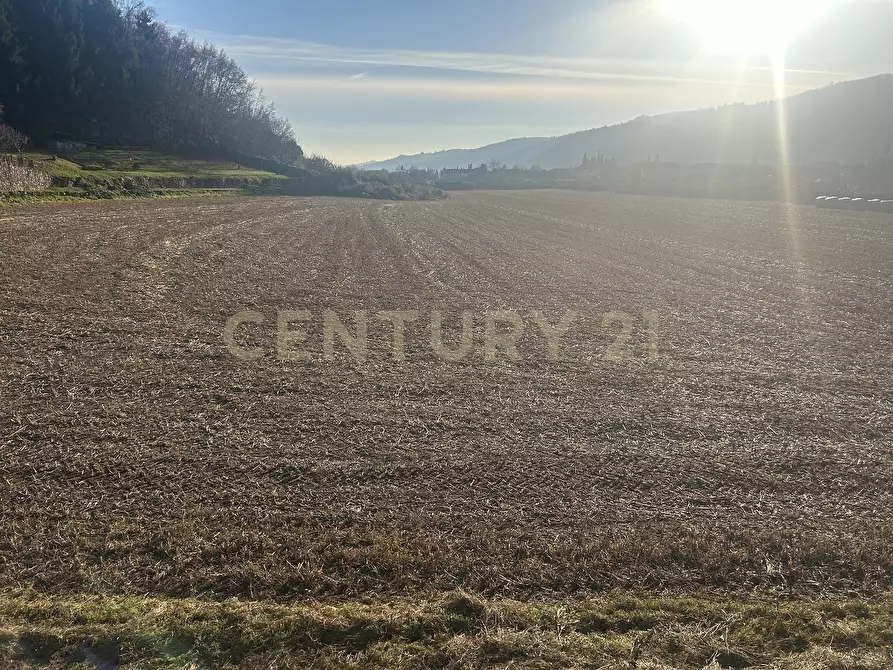 Immagine 25 di Terreno edificabile in vendita  in Via Don Giovanni Calabria a Tregnago