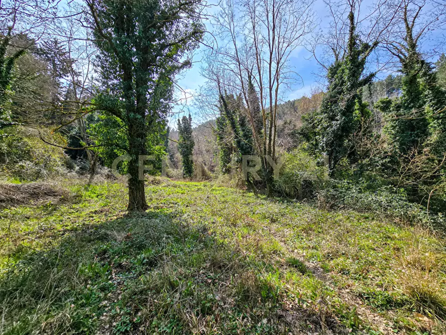 Immagine 21 di Rustico / casale in vendita  in Strada Provinciale 7 a Cinigiano