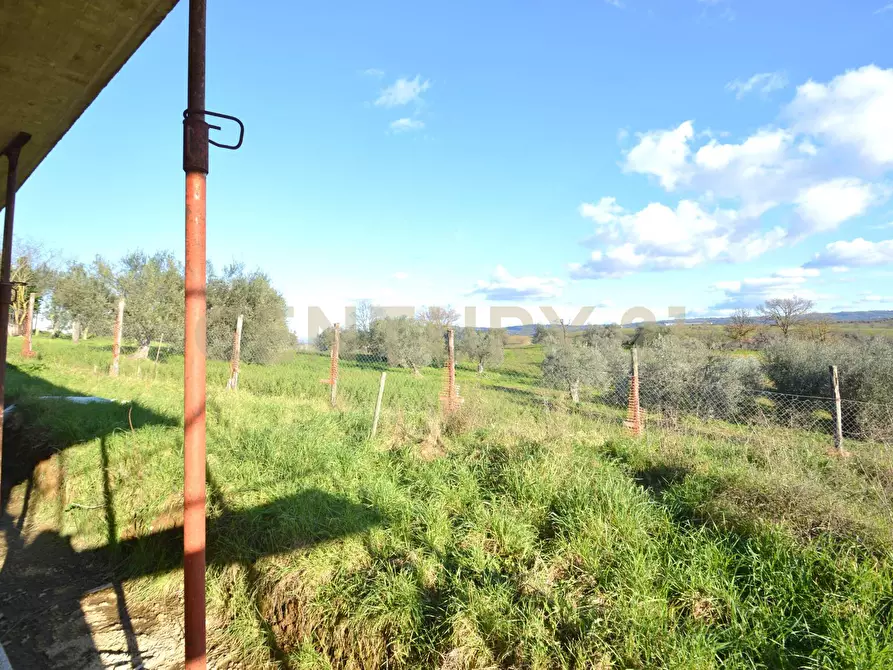 Immagine 22 di Villa in vendita  a Magliano In Toscana