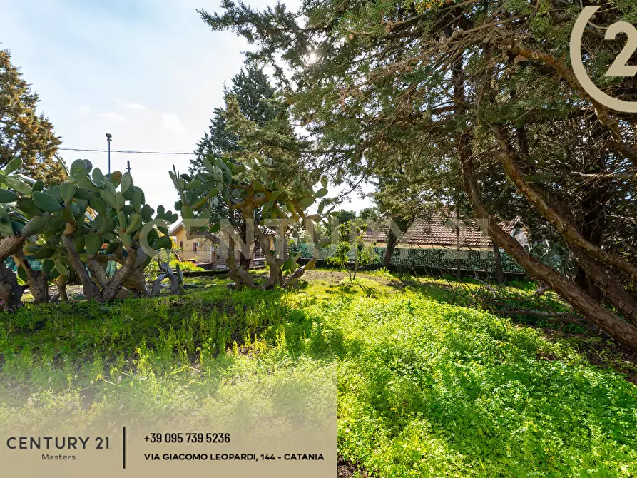 Immagine 54 di Villa in vendita  in Via Francesco Durante 11 a Pedara