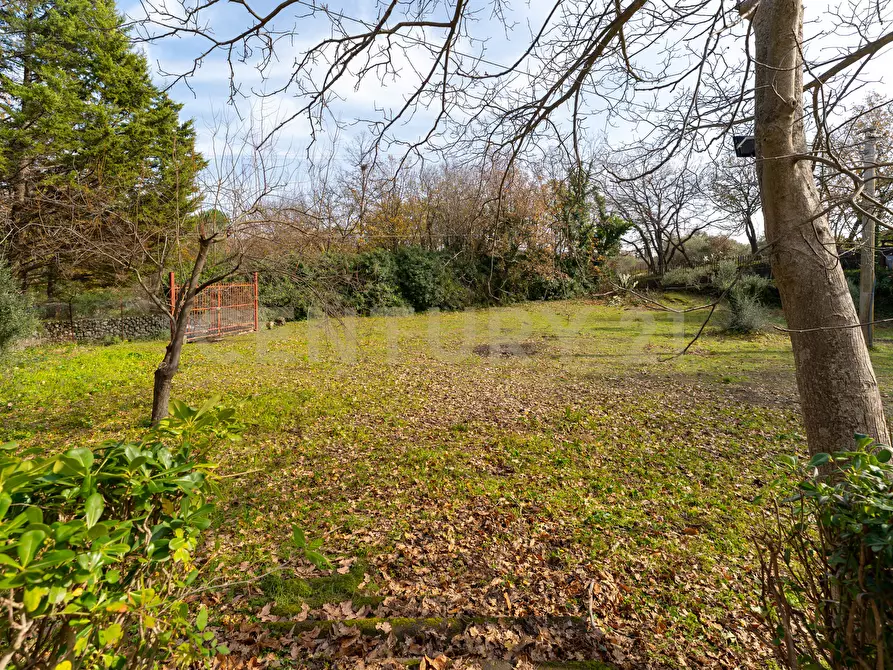 Immagine 5 di Villa in vendita  in CONTRADA ALBORETTO a Linguaglossa