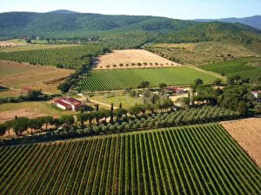 Immagine 27 di Rustico / casale in vendita  a Grosseto