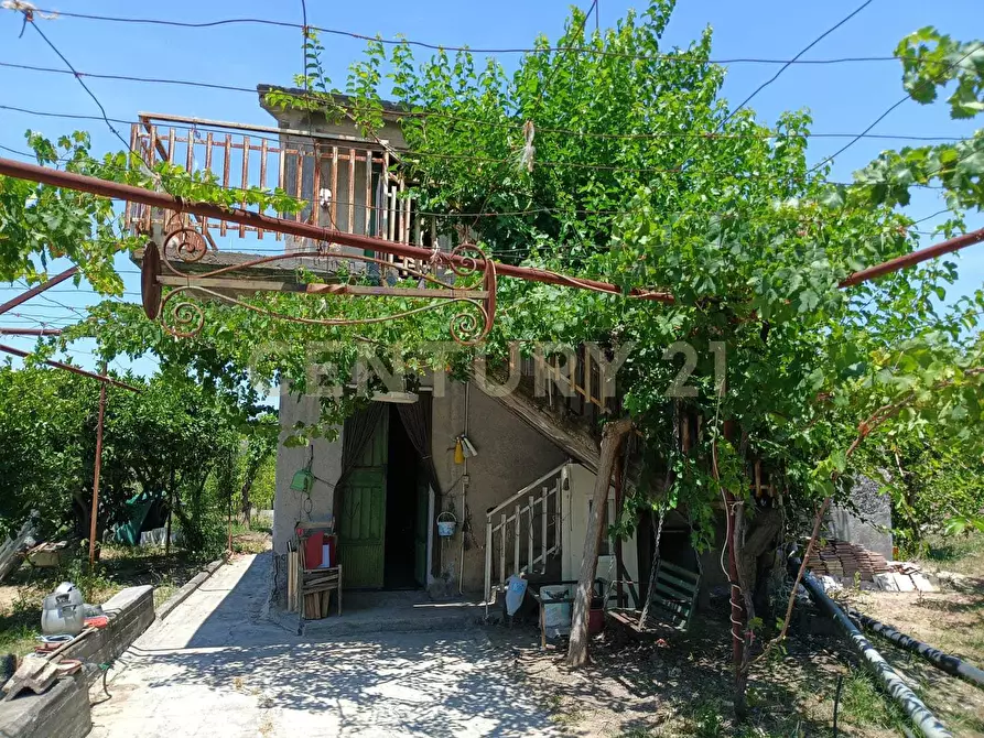 Immagine 23 di Terreno agricolo in vendita  in Contrada Agnelleria a Belpasso