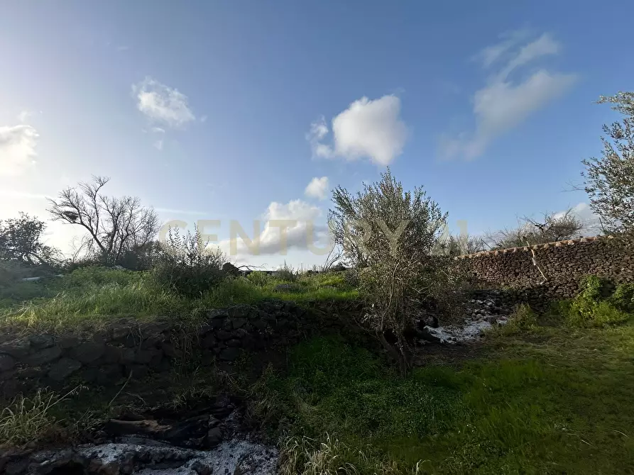 Immagine 30 di Terreno agricolo in vendita  in Via Giovanni Verga 1/A a Misterbianco