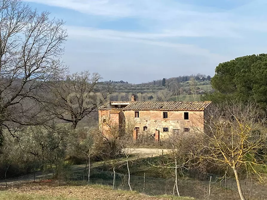 Immagine 1 di Rustico / casale in vendita  in località san vincenzino 45 a Chiusi