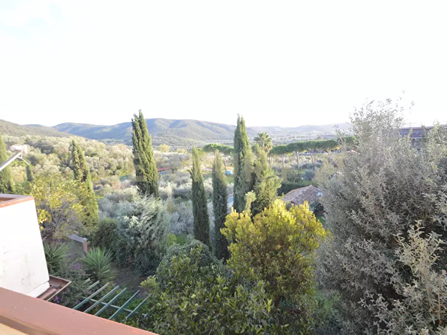 Immagine 20 di Villetta a schiera in vendita  a Grosseto