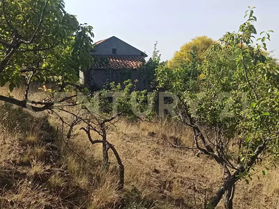 Immagine 27 di Terreno agricolo in vendita  in C.da Filiciusa a Biancavilla