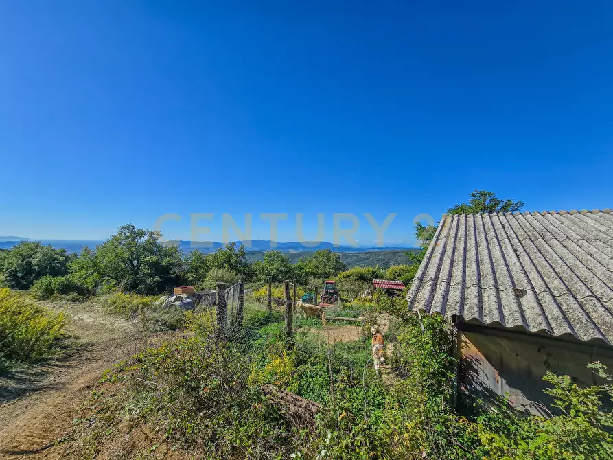 Immagine 7 di Appartamento in vendita  in località le coste snc a Roccastrada