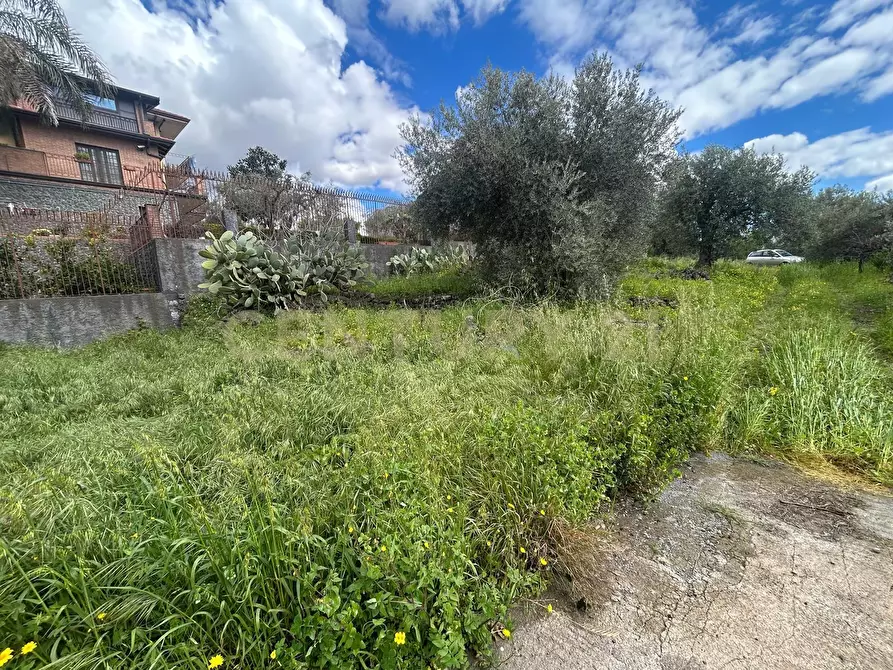 Immagine 35 di Terreno edificabile in vendita  in Viale Giovanni Falcone 9 a Camporotondo Etneo