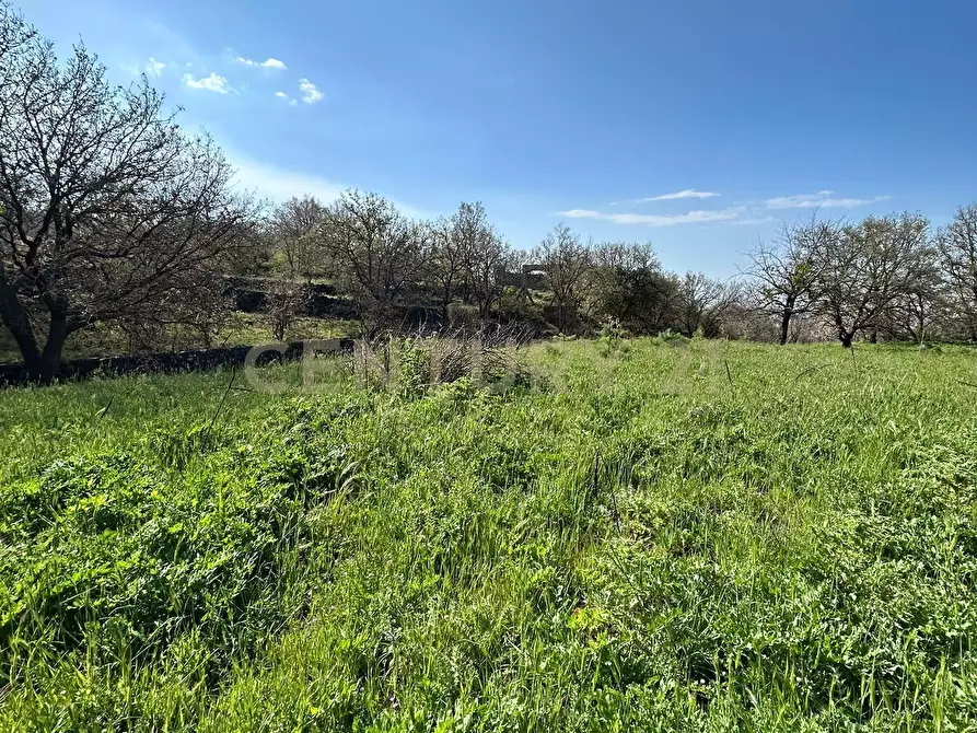 Immagine 8 di Terreno agricolo in vendita  in CONTRADA VIGNE a Biancavilla
