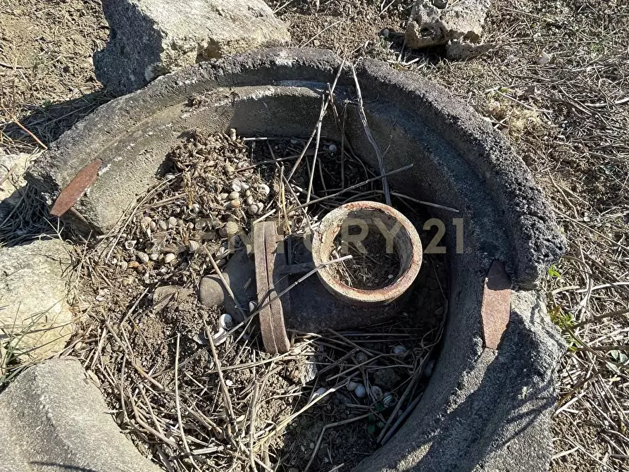 Immagine 4 di Terreno agricolo in vendita  in Strada Provinciale 104 snc a Lentini