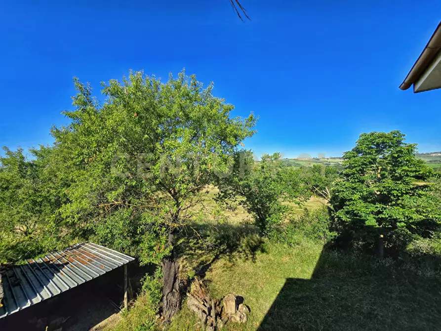 Immagine 22 di Rustico / casale in vendita  in Strada Provinciale Aquilaia a Scansano