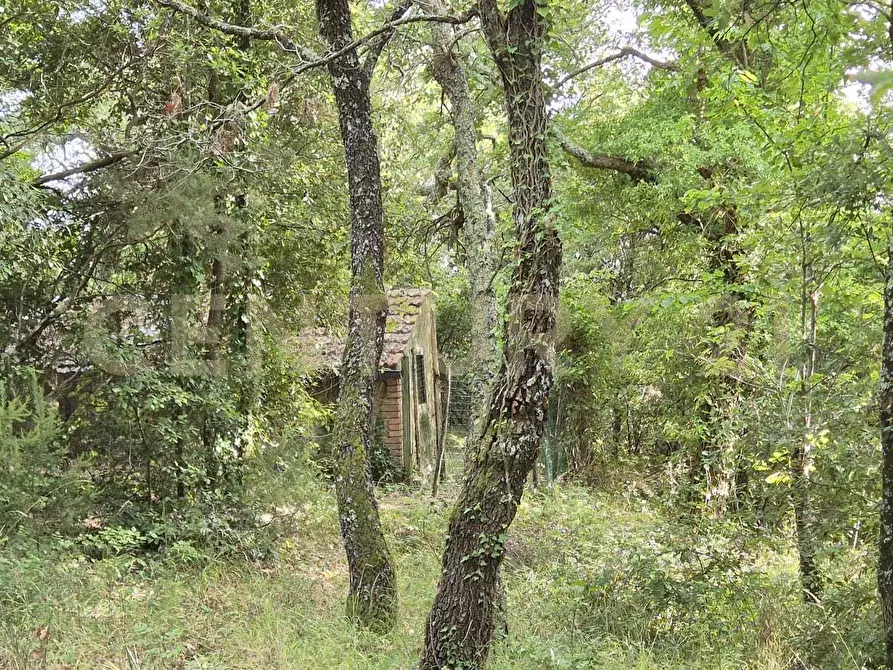 Immagine 8 di Rustico / casale in vendita  in località vignaccia a Civitella Paganico