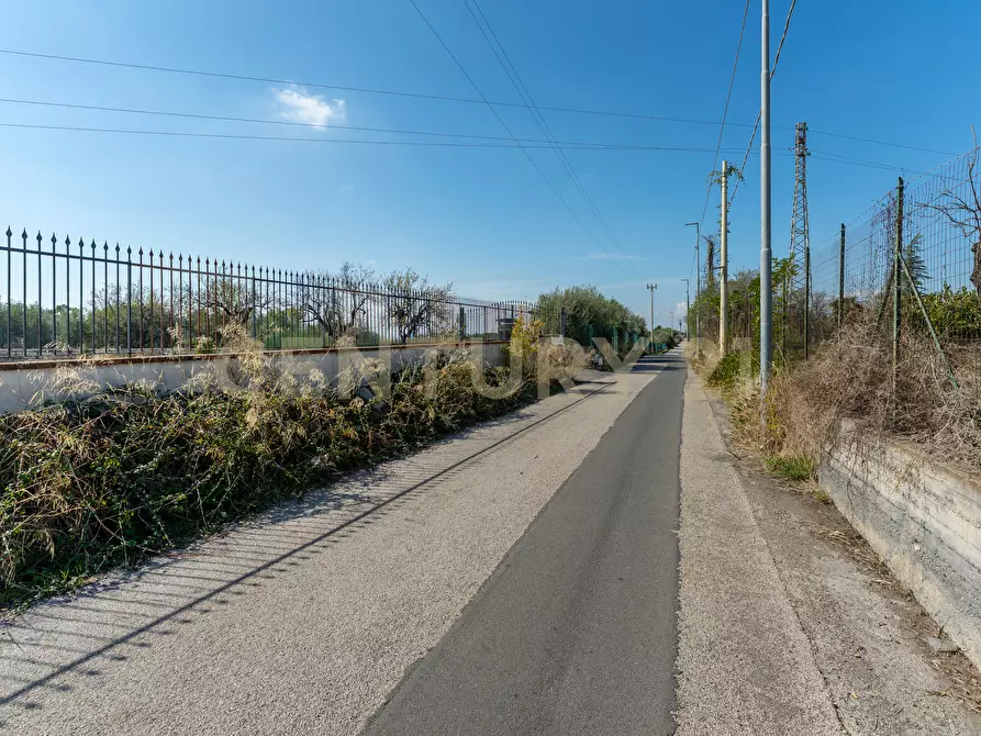 Immagine 3 di Terreno agricolo in vendita  in Via Margarone 5 a Motta Sant'anastasia