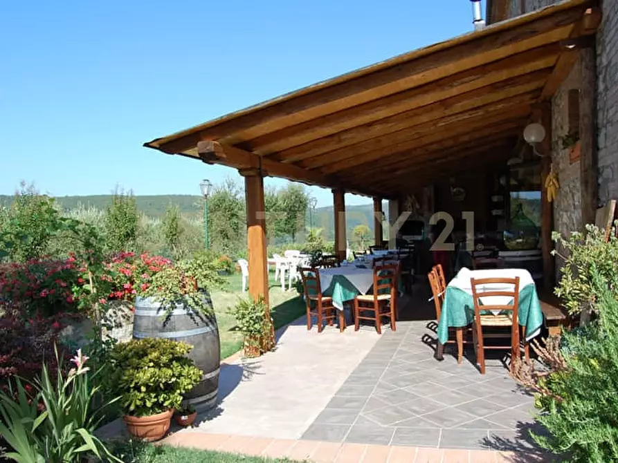 Immagine 8 di Rustico / casale in vendita  in agriturismo lampugnano 47 a Civitella Paganico