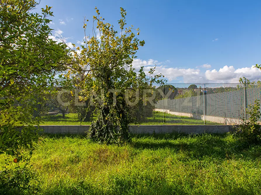 Immagine 8 di Terreno agricolo in vendita  in Via San Piero Patti 108 a Acireale