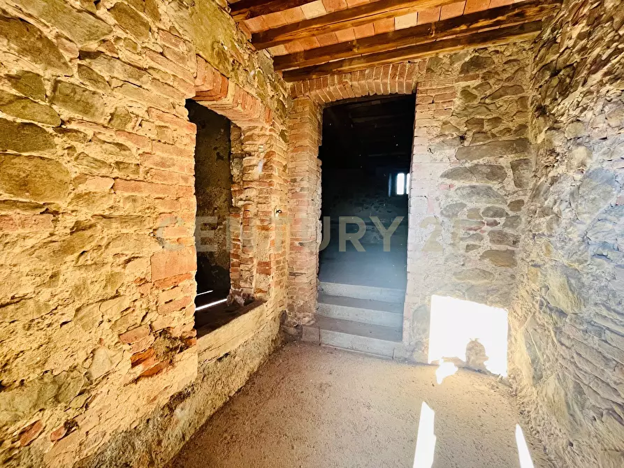 Immagine 10 di Casa bifamiliare in vendita  in località podere pelacane snc a Cinigiano