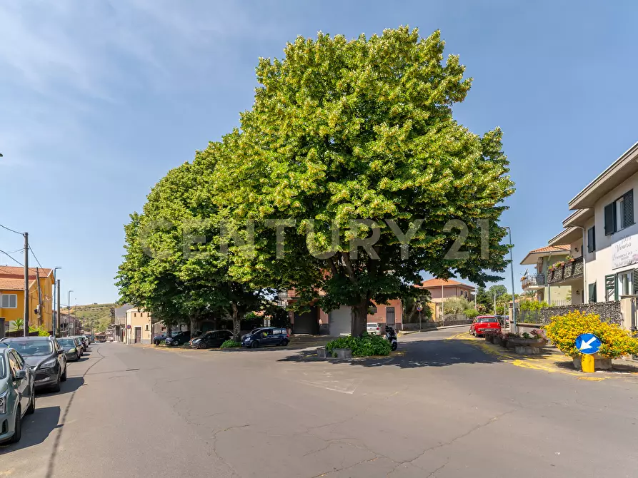 Immagine 34 di Trilocale in vendita  in Via Guglielmo Marconi 107 a Pedara