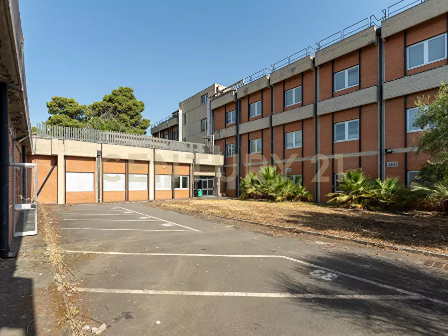 Immagine 8 di Attività artigianale in vendita  in Strada III Mimosa 14 a Catania