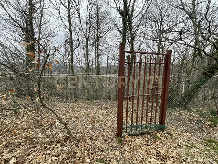 Immagine 35 di Villa in vendita  in Via Dante Alighieri a Semproniano