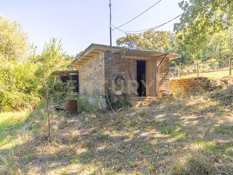 Immagine 21 di Rustico / casale in vendita  in località san quirichello a Barbarano Romano