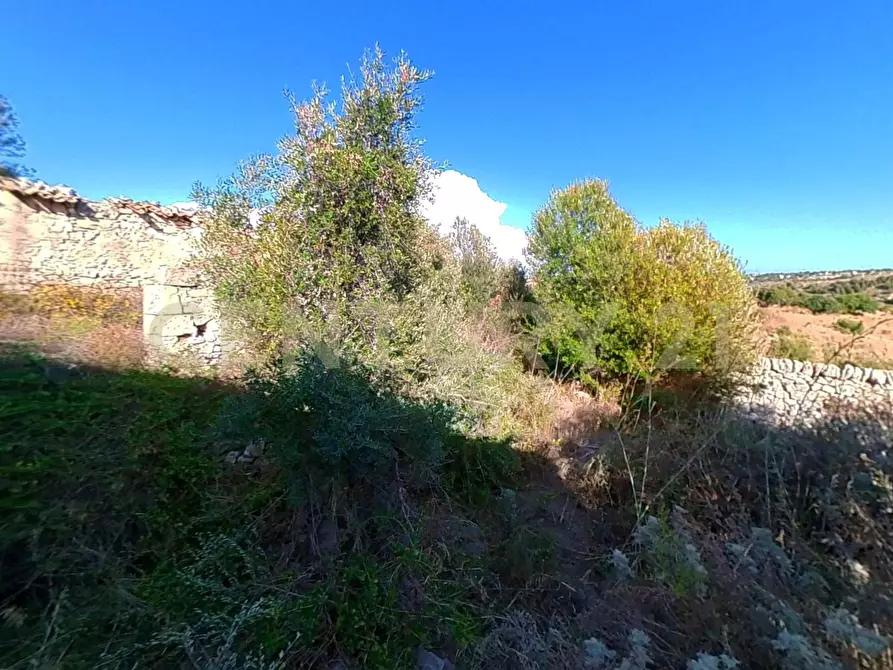 Immagine 12 di Rustico / casale in vendita  in Via dei Tulipani 21 a Ragusa