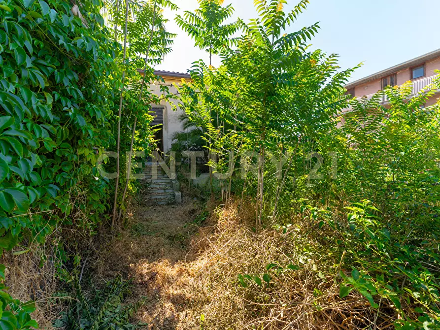Immagine 37 di Villa in vendita  in Via Galermo 152 a Catania