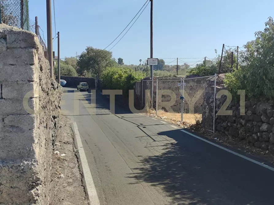 Immagine 13 di Terreno agricolo in vendita  in CONTRADA RACCOMANDATA a Misterbianco