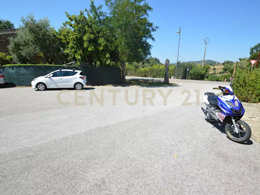 Immagine 3 di Attività artigianale in vendita  a Campagnatico