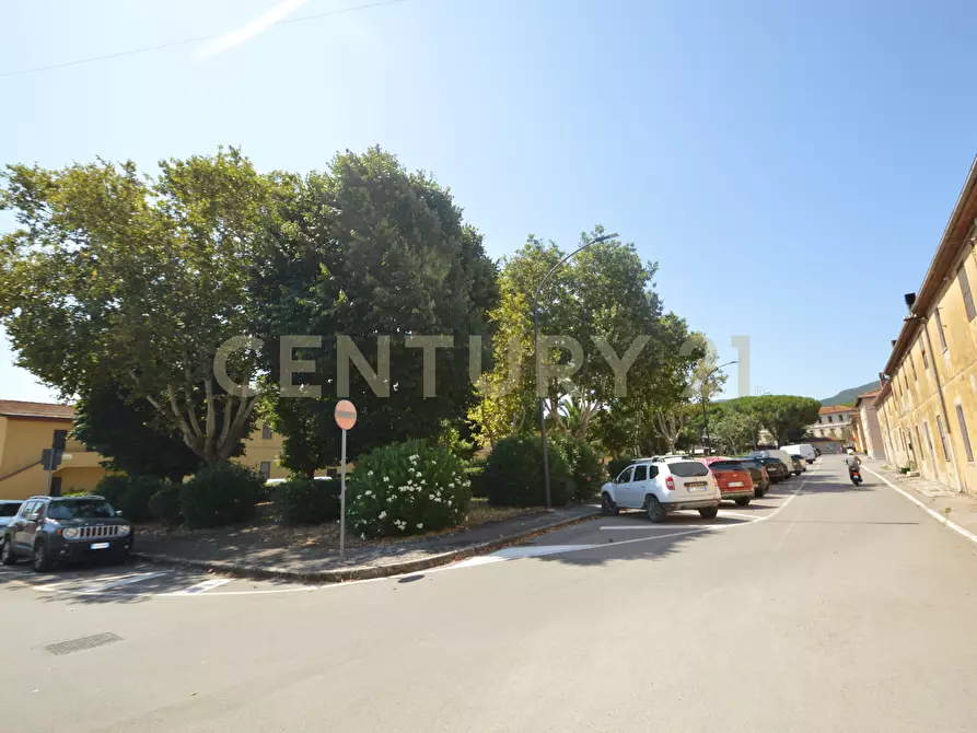 Immagine 27 di Appartamento in vendita  a Grosseto