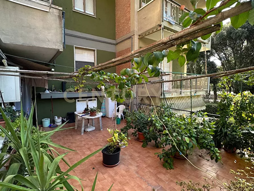 Immagine 5 di Appartamento in vendita  a Scansano