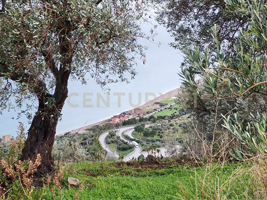 Immagine 10 di Attività artigianale in vendita  in Via Santisi a Motta D'affermo