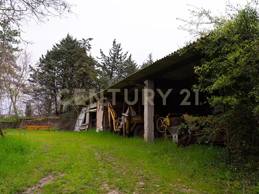 Immagine 37 di Rustico / casale in vendita  in sasso d'ombrone a Cinigiano
